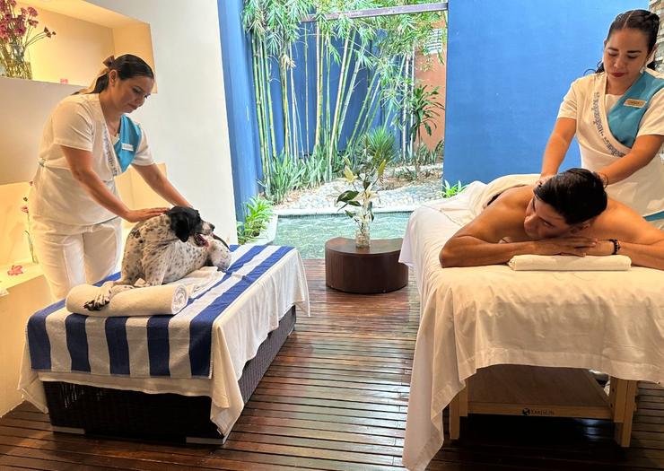 Zeus Package Azul Ixtapa Hotels Zeus Package Azul Ixtapa Hotels