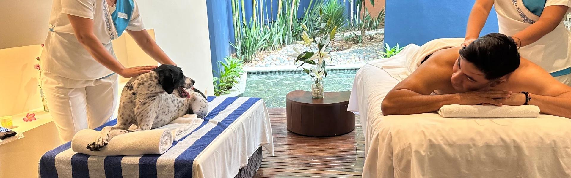 Azul Ixtapa All Inclusive Beach Resort Convention Center Hotel Ixtapa Zihuatanejo Azul Ixtapa All Inclusive Beach Resort Convention Center Hotel Ixtapa Zihuatanejo