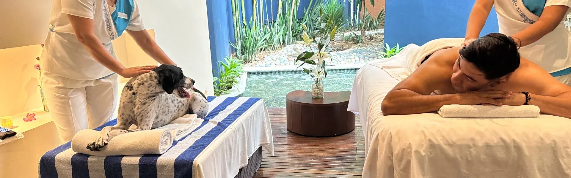Azul Ixtapa All Inclusive Beach Resort Convention Center Hotel Ixtapa Zihuatanejo Azul Ixtapa All Inclusive Beach Resort Convention Center Hotel Ixtapa Zihuatanejo