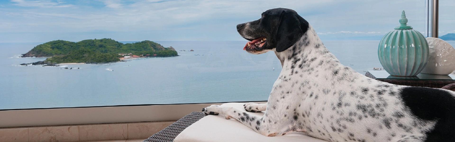 Hoteles Azul Ixtapa Hoteles Azul Ixtapa