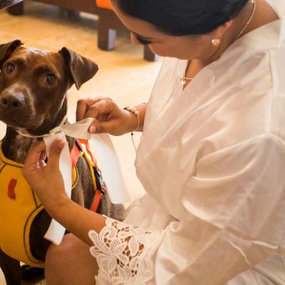 Eventos Hotel Azul Ixtapa All Inclusive Beach Resort Convention Center Ixtapa Zihuatanejo Eventos Hotel Azul Ixtapa All Inclusive Beach Resort Convention Center Ixtapa Zihuatanejo