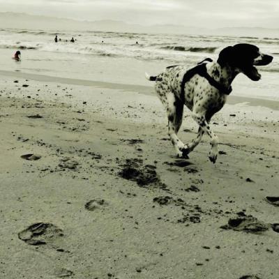 Extérieur Hôtel Azul Ixtapa Grand Resort Spa and Convention Center Ixtapa Zihuatanejo Extérieur Hôtel Azul Ixtapa Grand Resort Spa and Convention Center Ixtapa Zihuatanejo