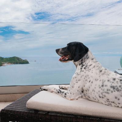 Extérieur Hôtel Azul Ixtapa Grand Resort Spa and Convention Center Ixtapa Zihuatanejo Extérieur Hôtel Azul Ixtapa Grand Resort Spa and Convention Center Ixtapa Zihuatanejo