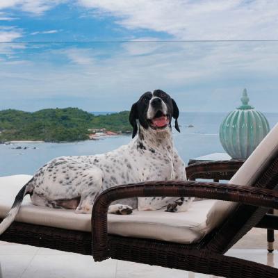 Extérieur Hôtel Azul Ixtapa Grand Resort Spa and Convention Center Ixtapa Zihuatanejo Extérieur Hôtel Azul Ixtapa Grand Resort Spa and Convention Center Ixtapa Zihuatanejo