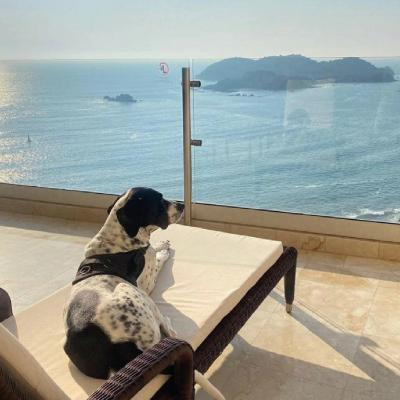 Extérieur Hôtel Azul Ixtapa Grand Resort Spa and Convention Center Ixtapa Zihuatanejo Extérieur Hôtel Azul Ixtapa Grand Resort Spa and Convention Center Ixtapa Zihuatanejo