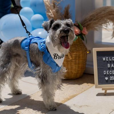 Actividades Hotel Azul Ixtapa All Inclusive Beach Resort Convention Center Ixtapa Zihuatanejo Actividades Hotel Azul Ixtapa All Inclusive Beach Resort Convention Center Ixtapa Zihuatanejo