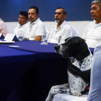 Événements Hôtel Azul Ixtapa Grand Resort Spa and Convention Center Ixtapa Zihuatanejo Événements Hôtel Azul Ixtapa Grand Resort Spa and Convention Center Ixtapa Zihuatanejo