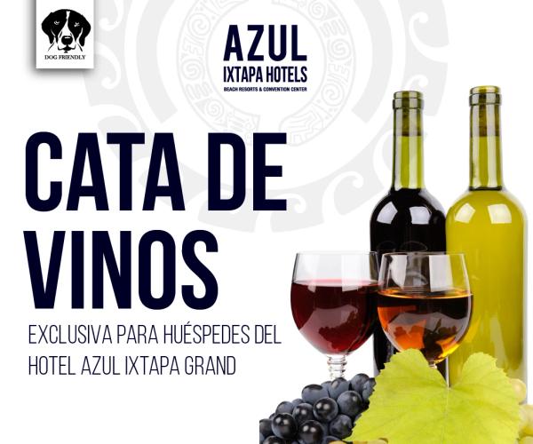 Cata de Vinos 🍷 Hoteles Azul Ixtapa Cata de Vinos 🍷 Hoteles Azul Ixtapa